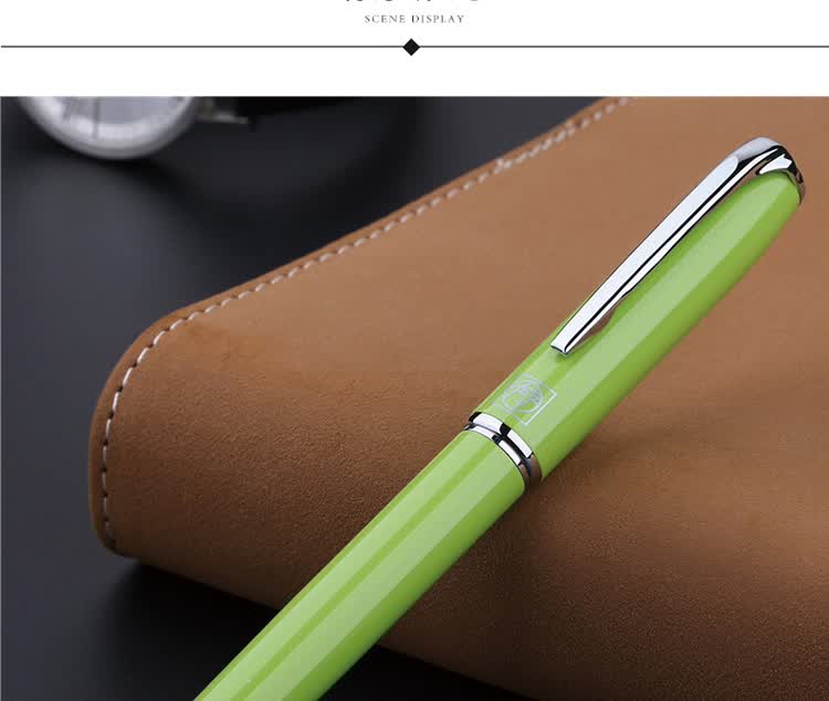 Pimio Fountain Pen, Signature Pen, Financial Extra Fine 0.38mm, Business Office Gift, Adult Student Calligraphy Practice, Birthday Gift for Men And Women, 916 Light Green Color 10