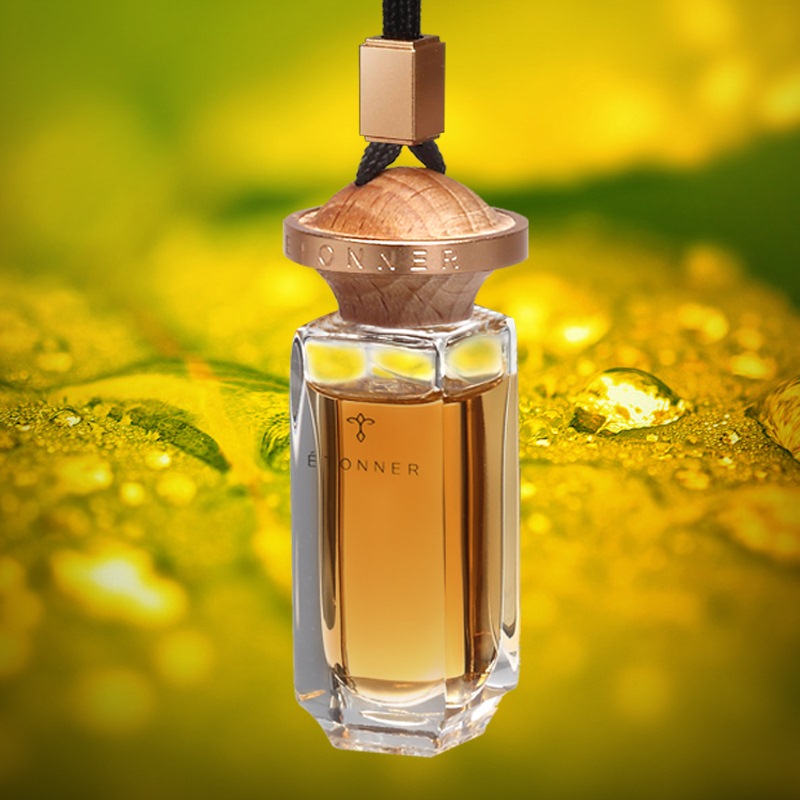 途雅 耐看汽车挂式香水