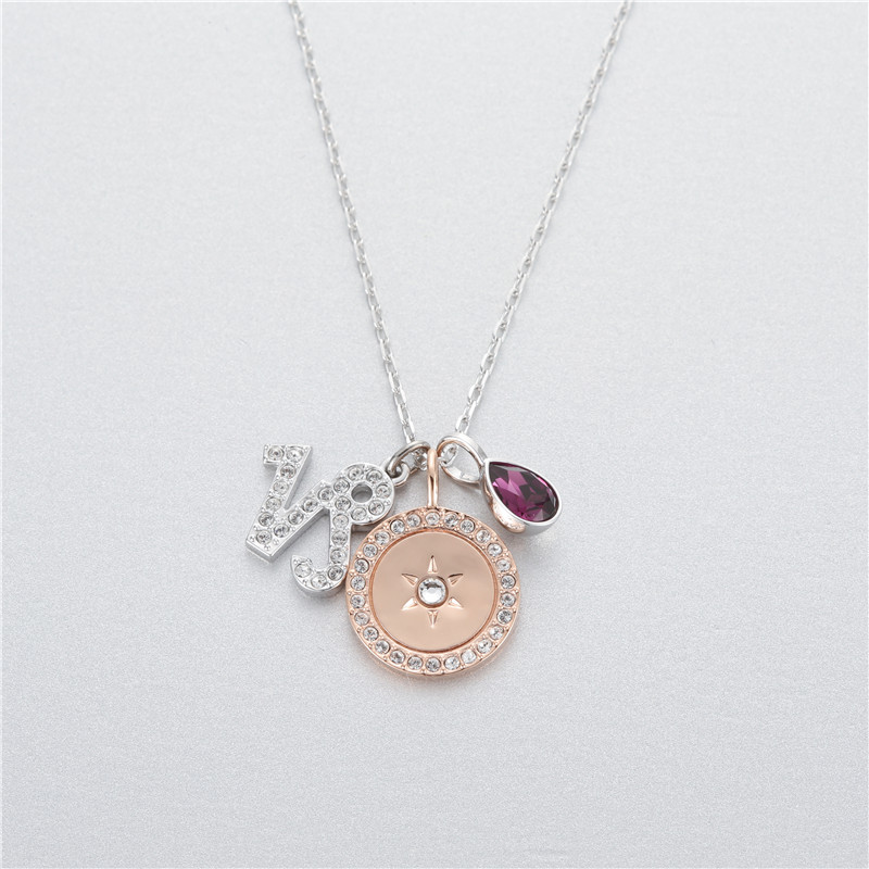 施华洛世奇 精致打磨水晶项链