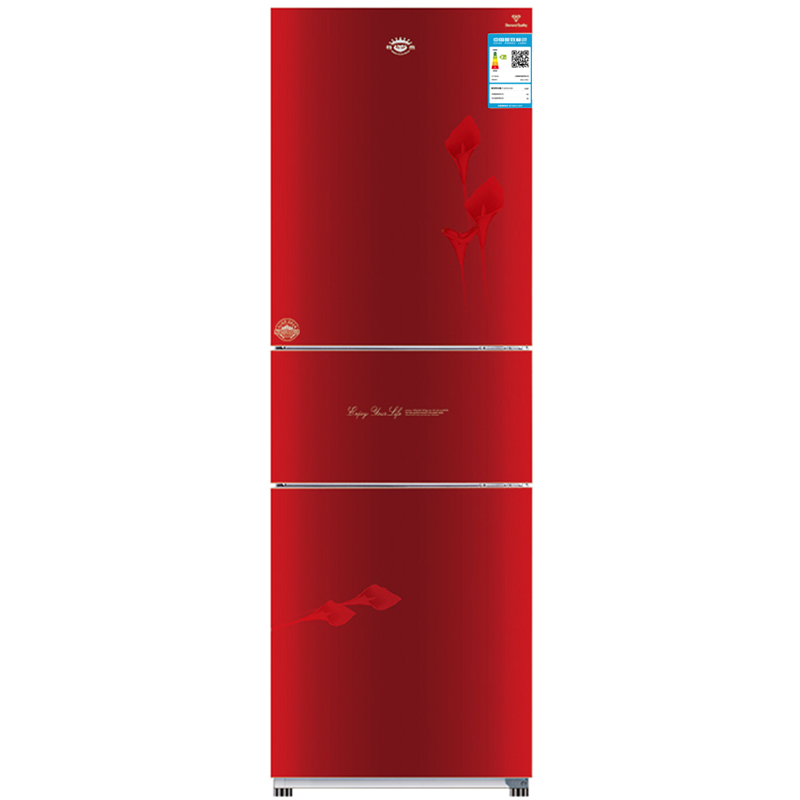 尊贵 节能保鲜冰箱