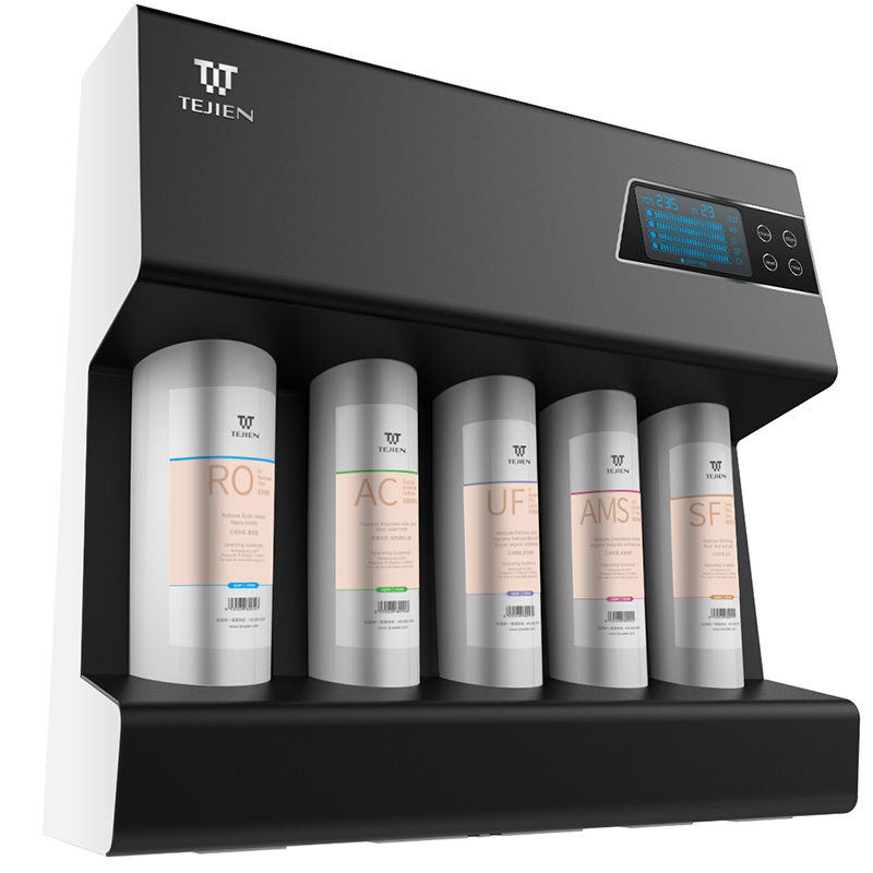 特洁恩 双出水水质显示净水器