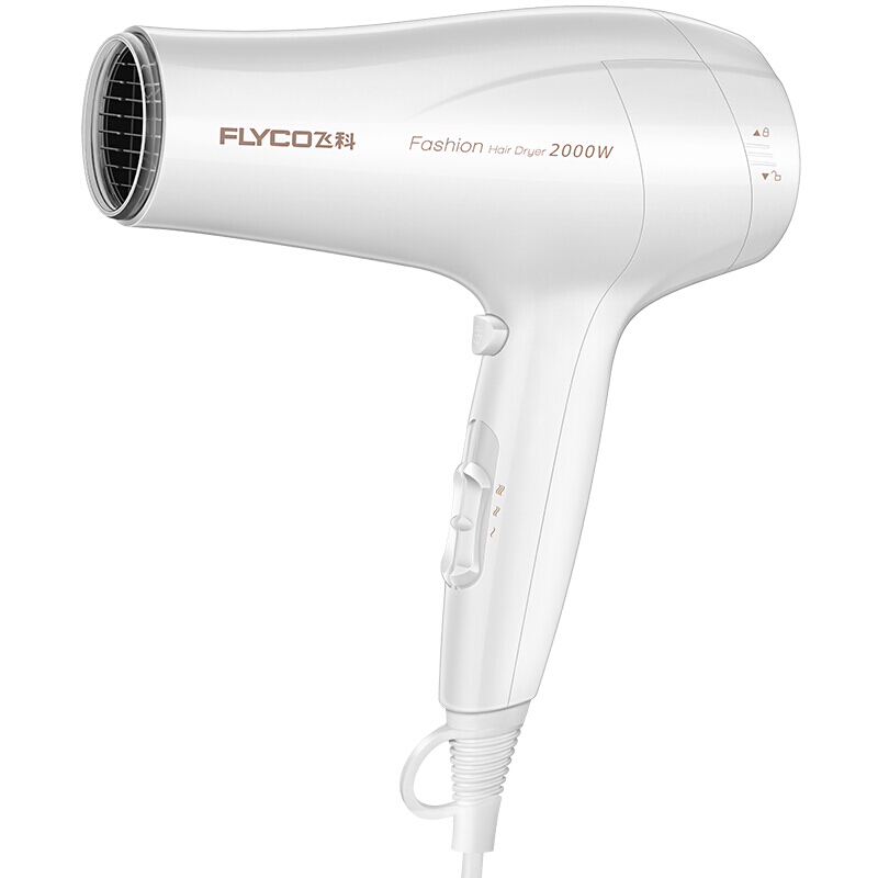 飞科 大功率吹风机