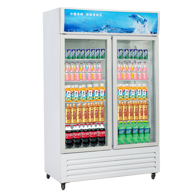 爱雪 微孔发泡层冷藏立式冷柜