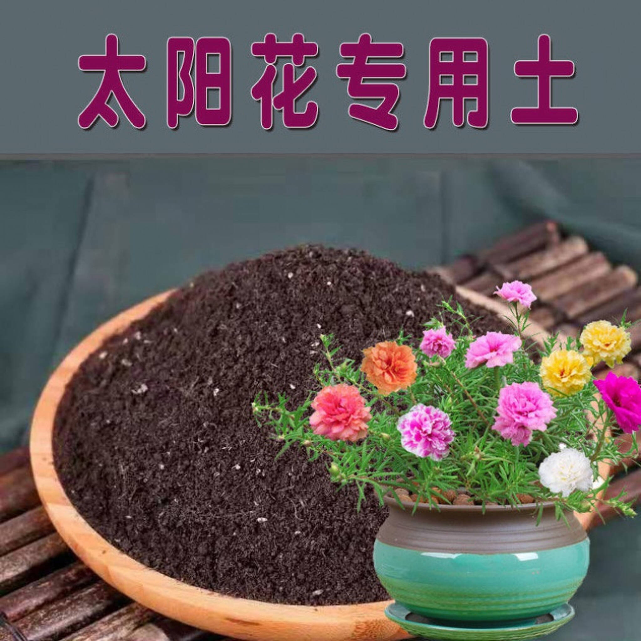 太阳花盆栽专用土营养土有机肥花泥营养土土壤种花养花家用种植土太阳花专用土5斤