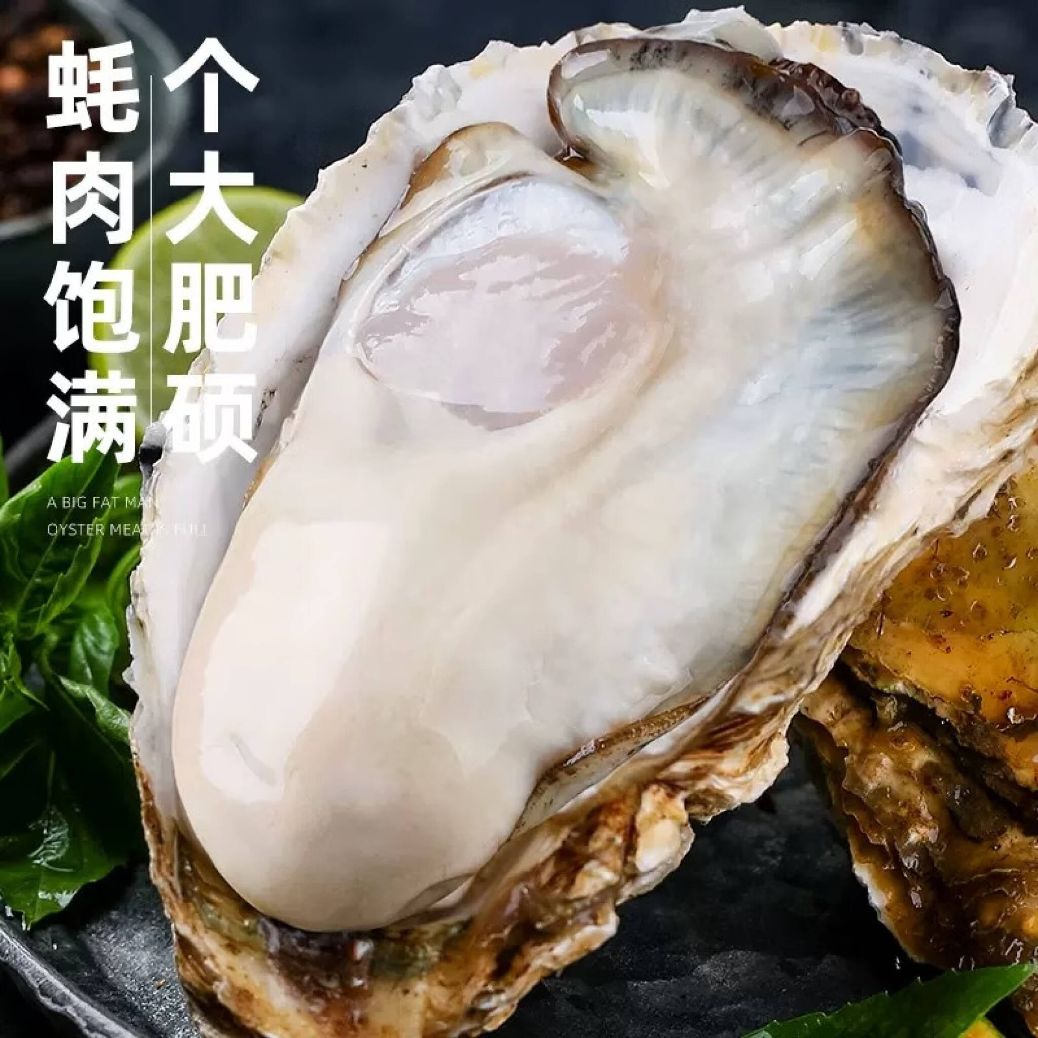 牡蠣殻 100袋 ろ材 アクアリウム 【最新入荷】 - フィルター・ポンプ・ろ材