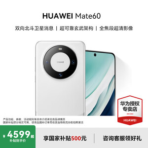HUAWEI Mate 60 国家补贴500元 超可靠玄武架构 华为mate60鸿蒙智能手机 白沙银 12G+512G