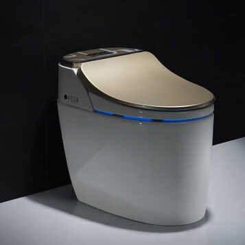 德森蒂威 德国德森蒂威智能马桶 【土豪金】坑距305mm