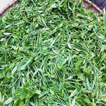 荒山野茶 - 商品搜索 - 京东