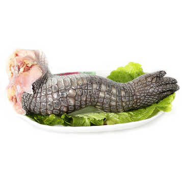 湖鲜 海南鲜冻鳄鱼掌鳄鱼肉 整只掌/每袋 生态养殖 2000g左右