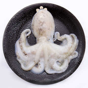 盈品客 青岛活冻小八爪鱼 500g 爆头章鱼