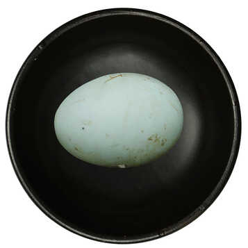 闲耕农场 高山散养生土鸭蛋 30枚 约1.5kg