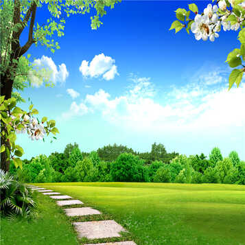 华胜儿童摄影背景布 自然风景室外影楼摄影照相馆拍照pp纸影棚主题 f