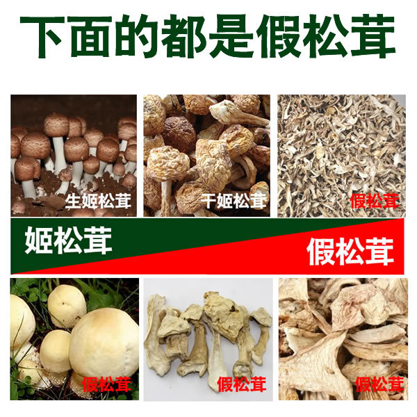 松茸的由来及营养价值,以及如何识别真假松茸