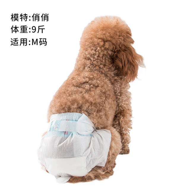 嬉皮狗狗狗生理裤宠物尿不湿狗纸尿裤母狗卫生巾泰迪月经姨妈裤小狗尿布尿垫尿片厕所用品xxl码8片 招来宝