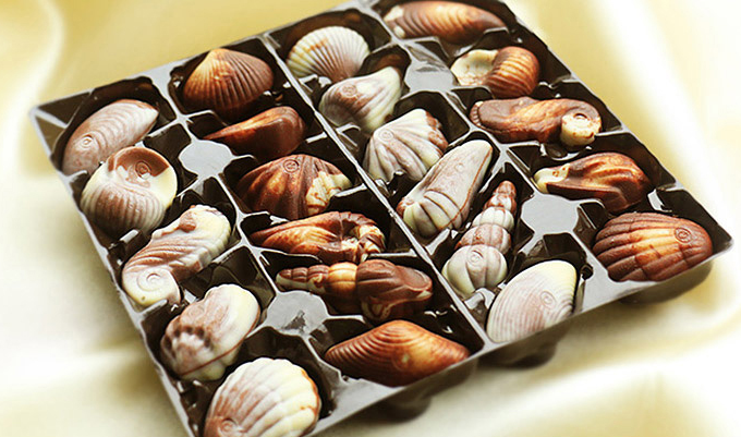 看到这么精致的贝壳巧克力,是不