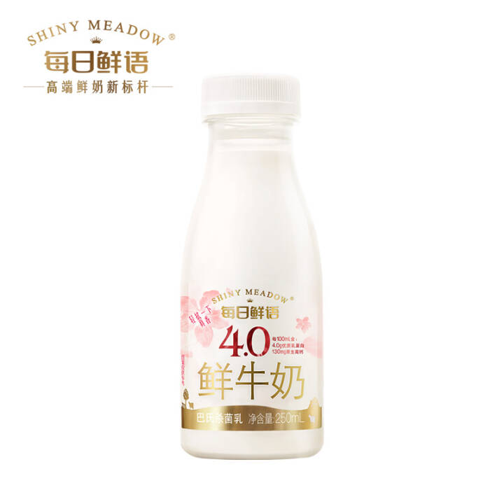 每日鲜语40高品质原生高钙鲜牛奶250ml巴氏杀菌鲜牛奶