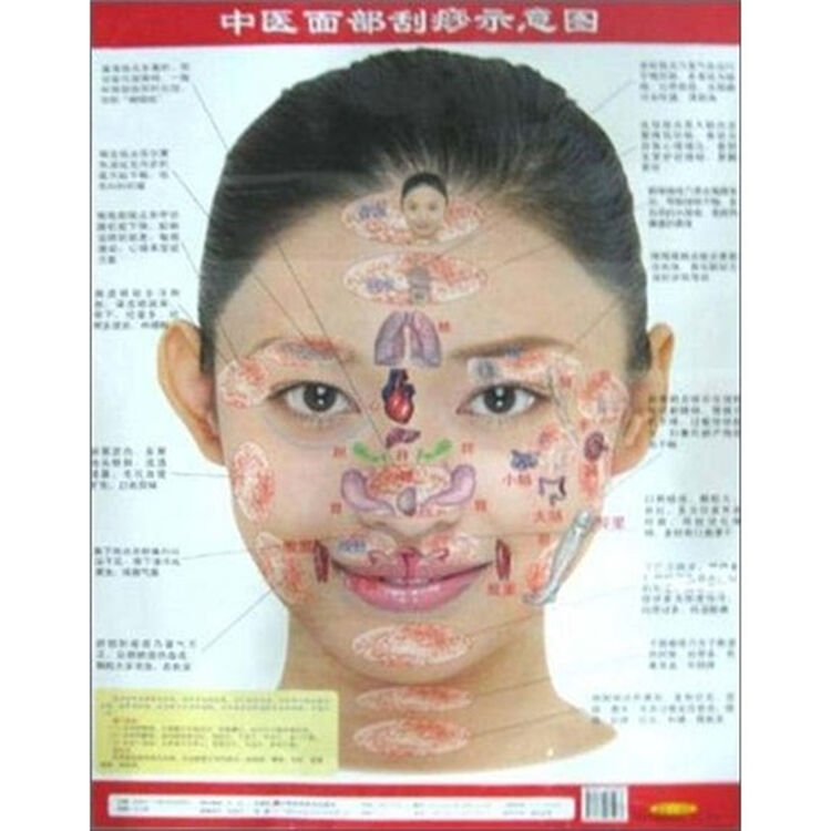 中医面部刮痧示意图 自营