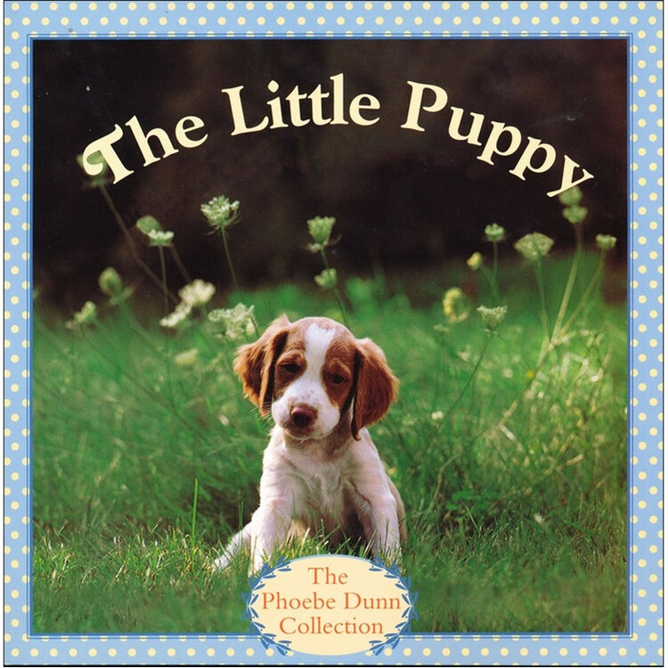 the little puppy