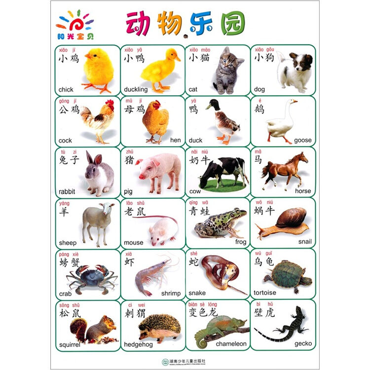 阳光宝贝大挂图:动物乐园