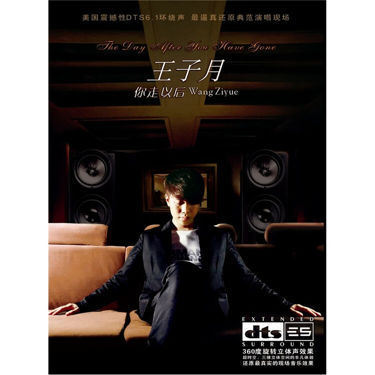 王子月:你走以后(dts cd)