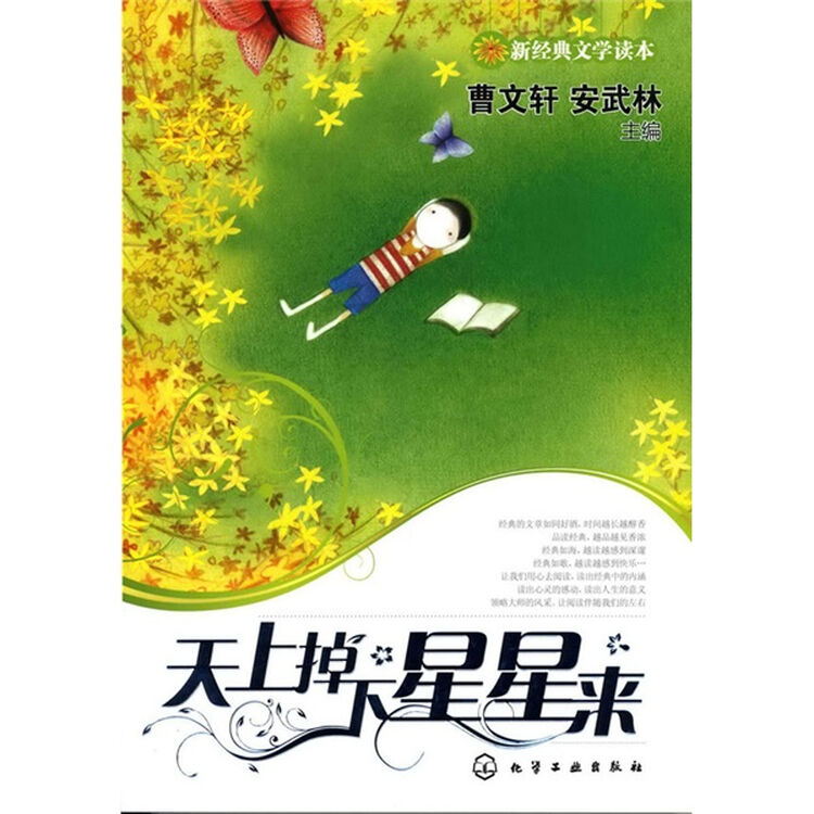 新经典文学读本:天上掉下星星来