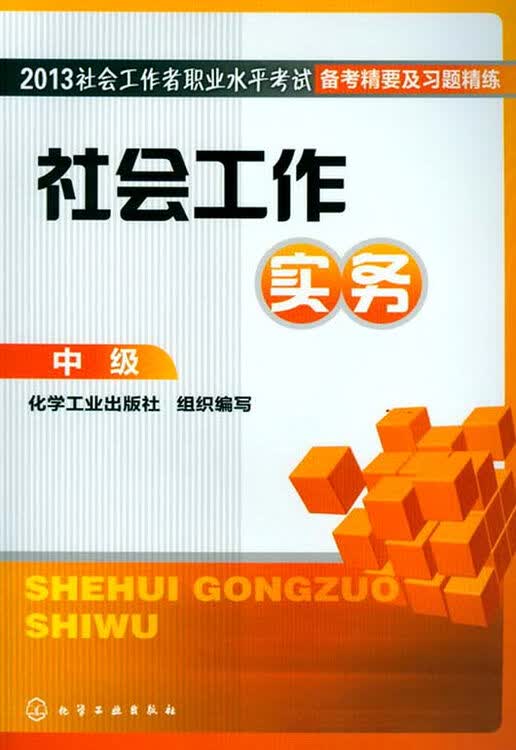 2013社会工作者职业水平考试备考精要及习题精练:社会工作实务(中级)
