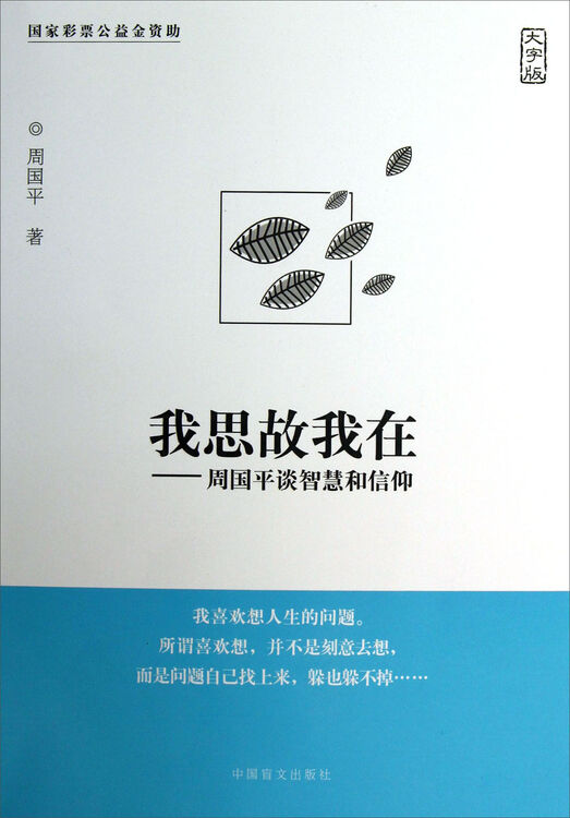 我思故我在:周国平谈智慧和信仰(大字版)