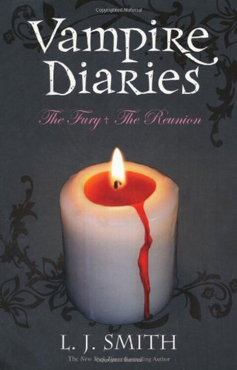 the fury & the reunion (the vampire diaries, volume 2)[吸血鬼