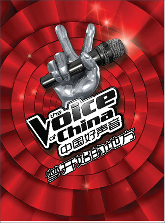 华语合辑·中国好声音:梦开始的地方(cd)