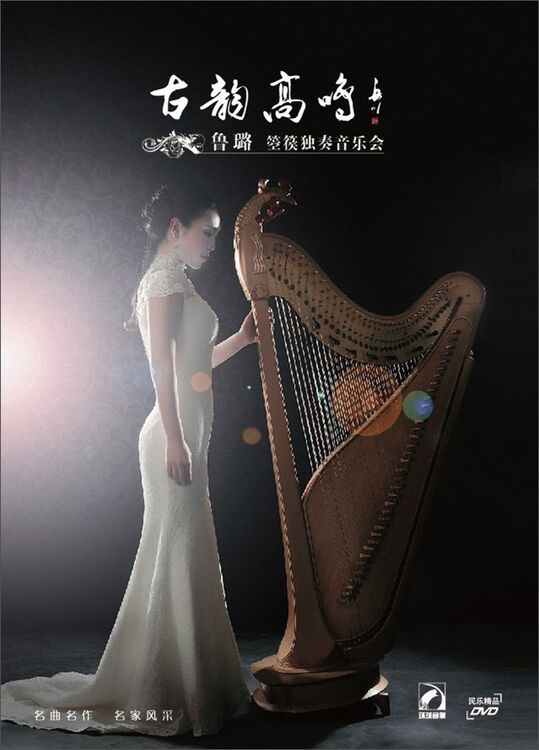 鲁璐箜篌独奏音乐会:古韵高鸣(dvd)【图片 价格 品牌 评论】-京东