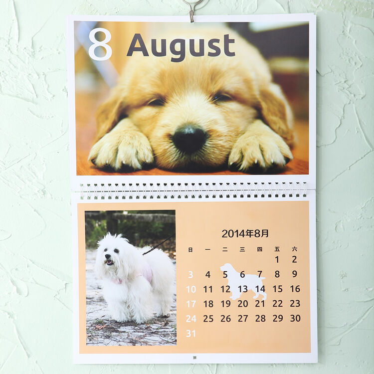 挂历a4双月7张13页 个性挂历定做 宝宝 照片挂历制作 2016猴年日历