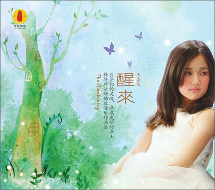 王嘉宝:醒来(cd)