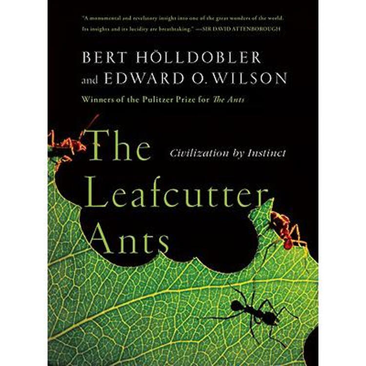 the leafcutter ants: civilization by instinct