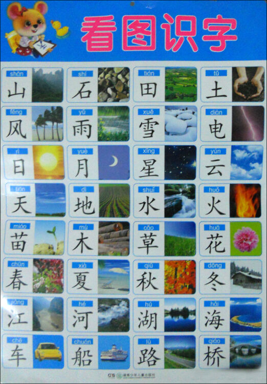 阳光宝贝炫彩挂图:看图识字 自营