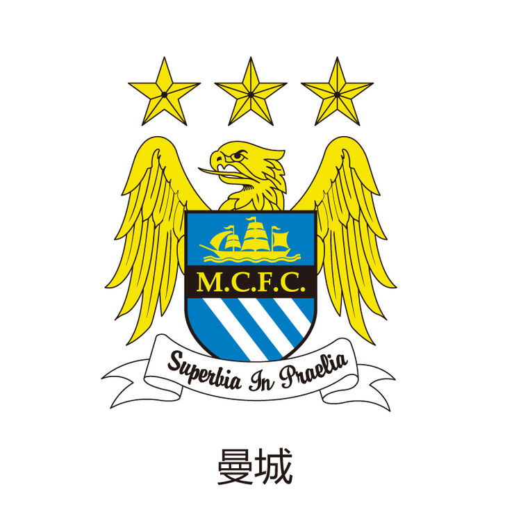 翼贴 巴西足球标汽车贴纸反光车身贴 装饰贴 汽车贴纸 足球标贴纸 队