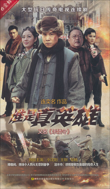 谁是真英雄(13dvd)