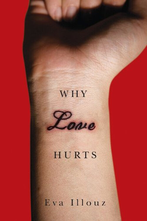 why love hurts: a sociological explanation 京东自营
