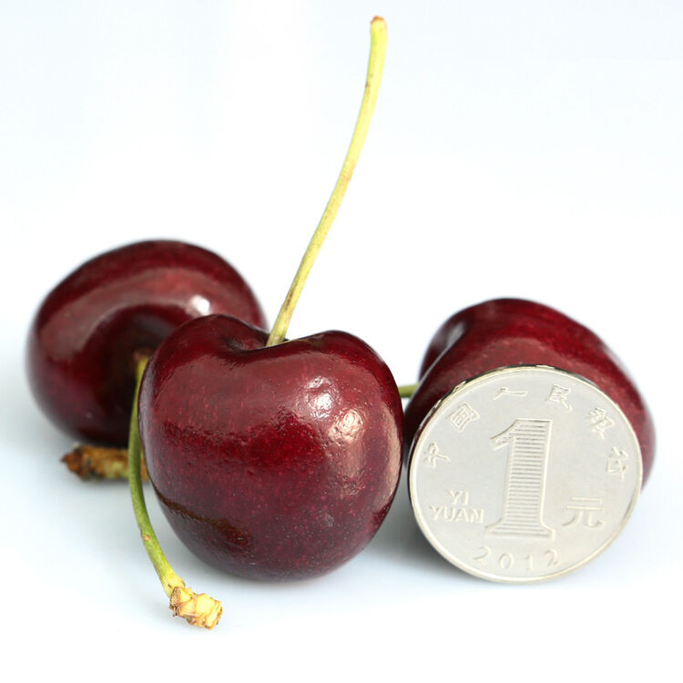 【电果网】澳大利亚g级巨大红樱桃 特大车厘子/4斤装