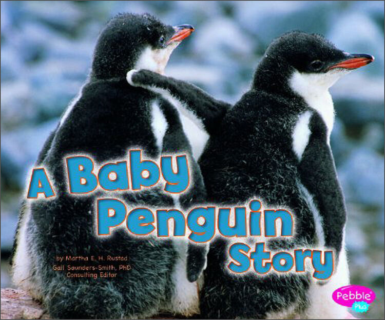a baby penguin story (pebble plus: baby animals)