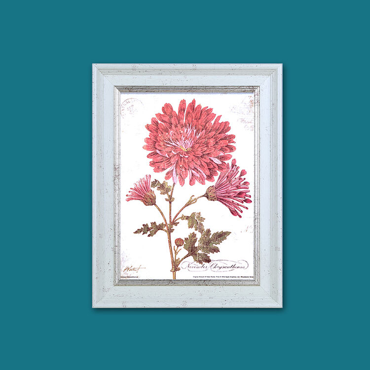 限时促销,拍此款装饰画,拍同尺寸三副,自动送同尺寸的另外一幅