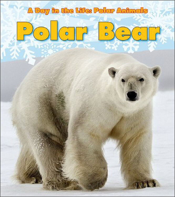 polar bear (a day in the life: polar animals) 自营