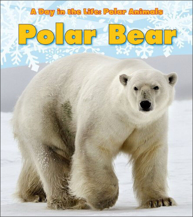 polarday图片