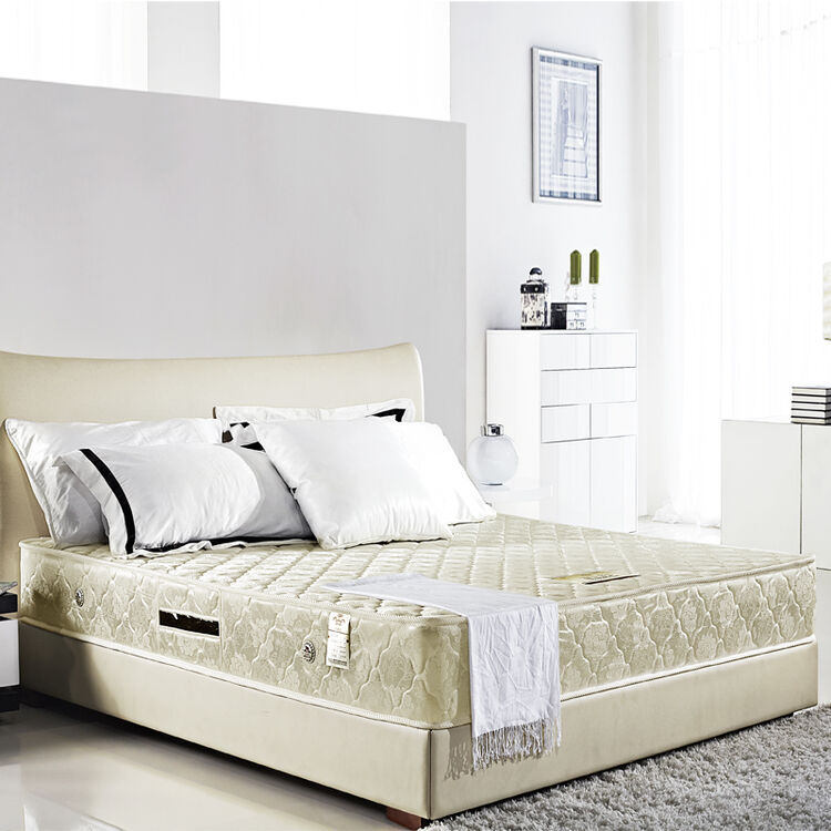 睡宝皇 天然椰棕床垫 弹簧床垫 软硬两用 单人双人棕垫床垫1.8米1.