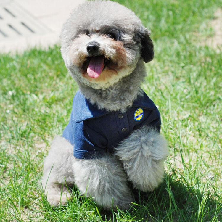 宾狗宠物经典款polo衫藏蓝色s