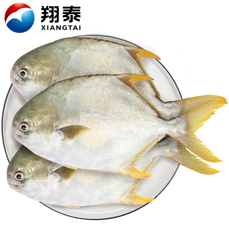 翔泰 冷冻海南金鲳鱼1.2kg /3-4条  海鱼  生鲜鱼类  海鲜水产 光明服务菜管家商品 