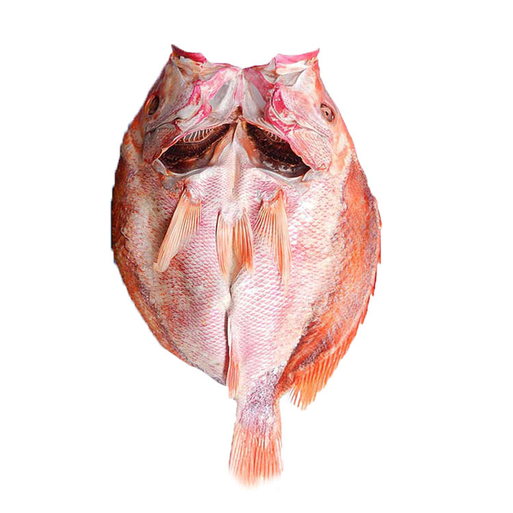 海鲜阁 湛江海鲜特产红鲷鱼干 淡晒大红鱼干 整条风干腊鱼咸鱼干 年货