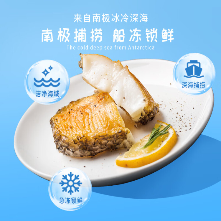 海天下冷冻南极银鳕鱼200g(犬牙鱼) 海鲜水产 生鲜宝宝鱼类 铺餐食 光明服务菜管家商品 
