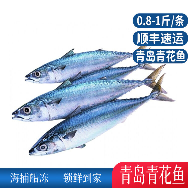 亚又婧青花鱼鲜活速冻青占鱼新鲜海鱼青鱼新鲜青花鱼 4斤装 图片价格品牌评论 京东