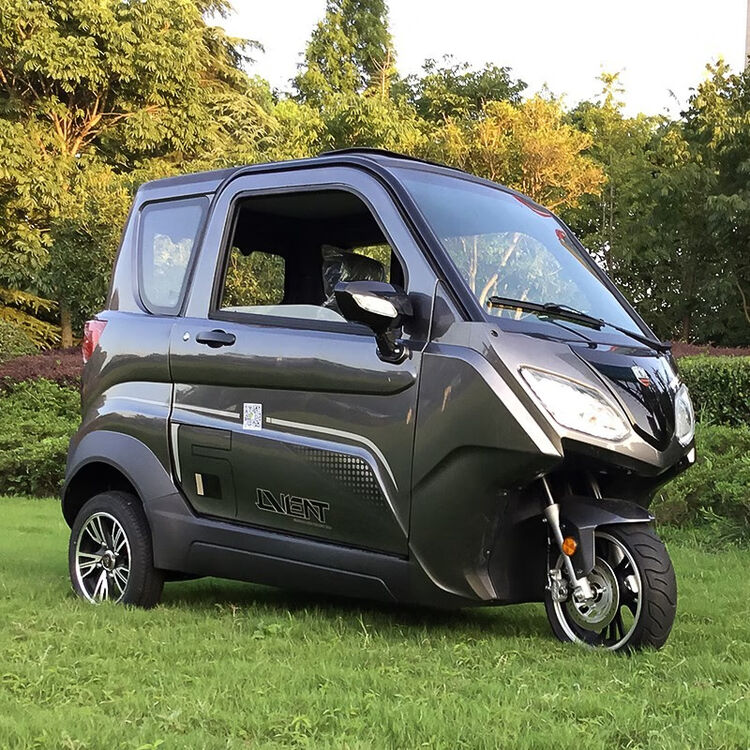 电动三轮车全封闭式环步成人代步车接送孩子三轮电瓶车爬坡档 本田灰