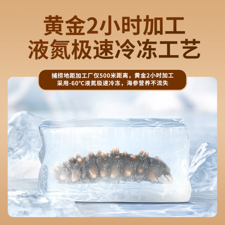 喜玉大连即食海参 500g 10-15只 固形物80%以上 简装 辽刺参 菜管家商品